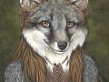 greyfoxportrait.jpg